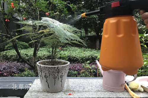 避孕环原理av免费高清无码专区，揭秘女性避孕的科学之道